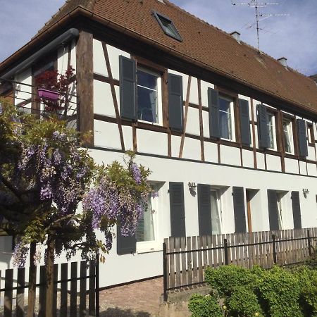 Gîte côté jardin Ingersheim Esterno foto