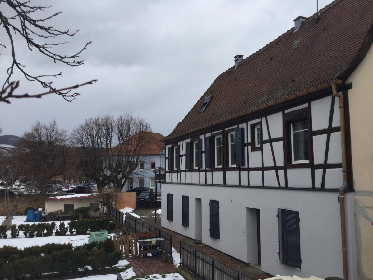 Gîte côté jardin Ingersheim Esterno foto