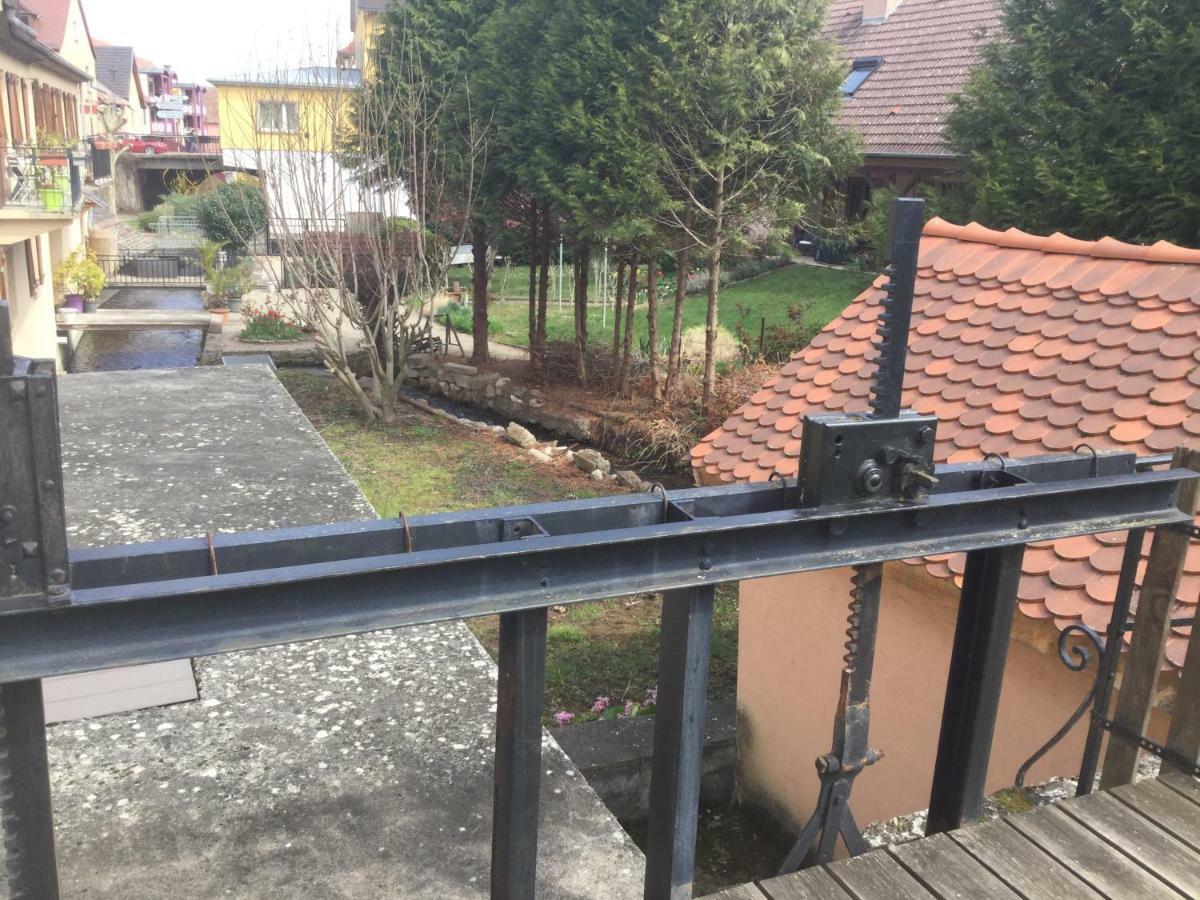 Gîte côté jardin Ingersheim Esterno foto